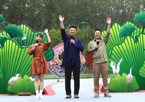 爆料金融诈骗案例最新视频,视频揭露诈骗手段与防范攻略  第3张